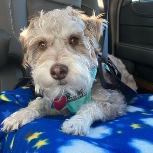 Meet your Posher, Noelle